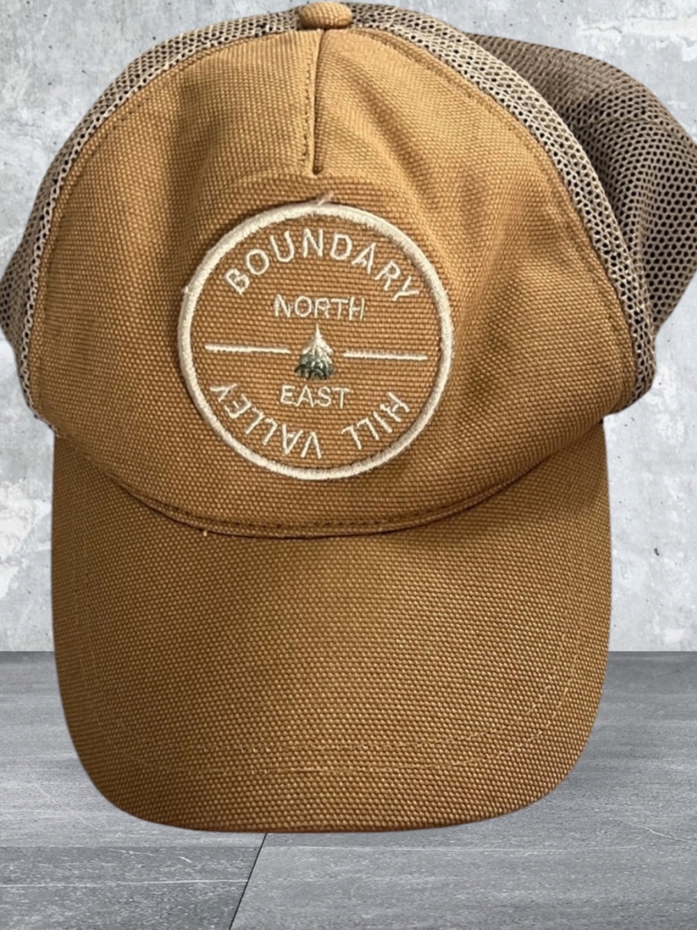 Zara Tan and Brown Cap